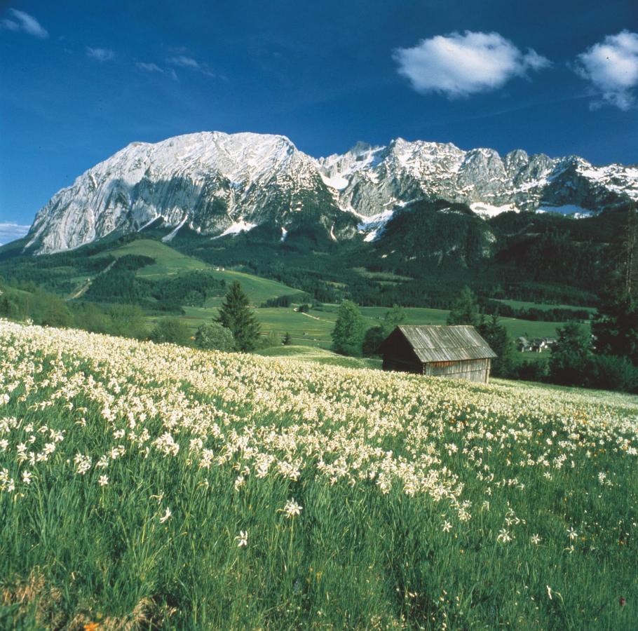 Schusterbauernhof Appartement Bad Mitterndorf Buitenkant foto