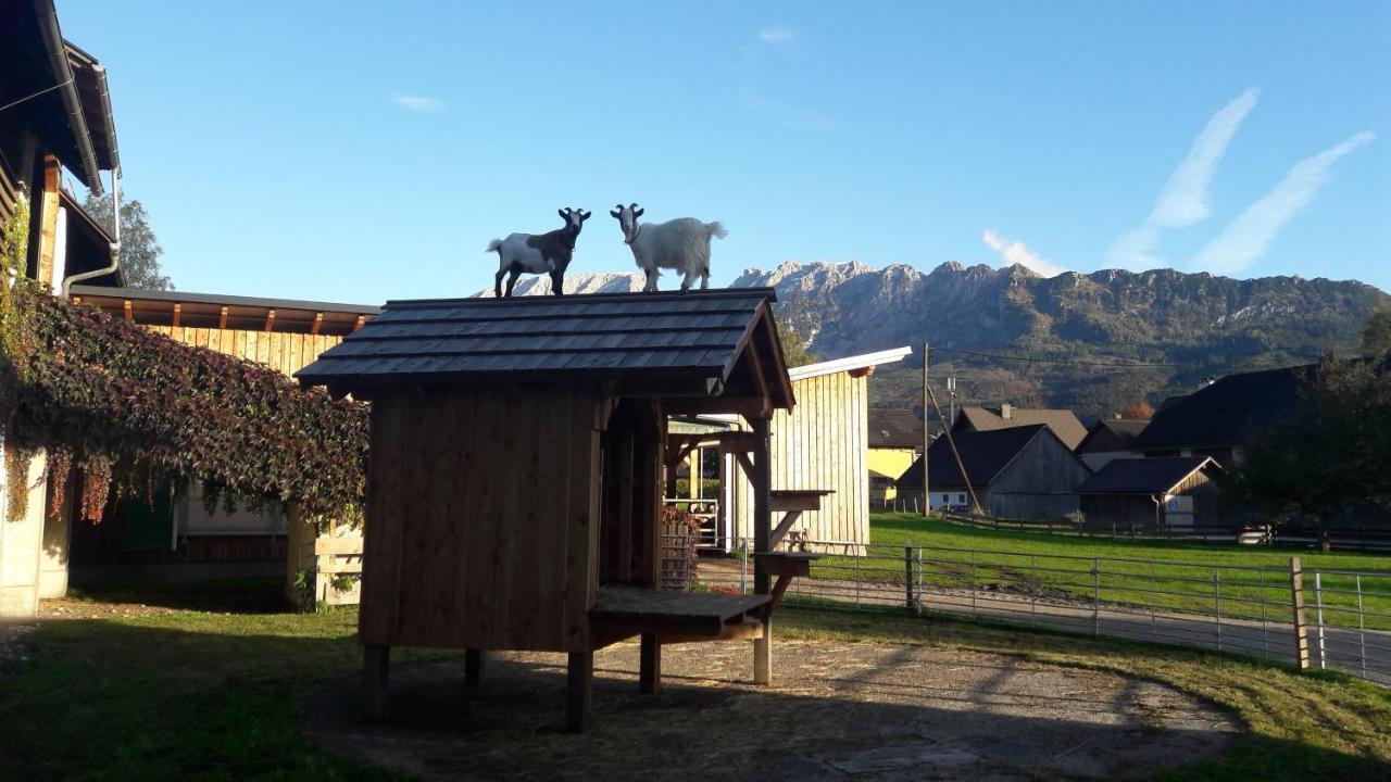 Schusterbauernhof Appartement Bad Mitterndorf Buitenkant foto