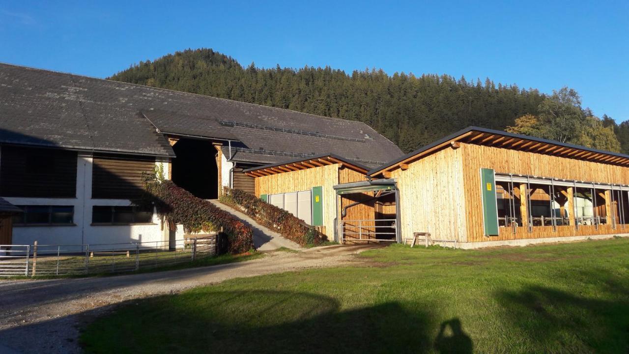 Schusterbauernhof Appartement Bad Mitterndorf Buitenkant foto